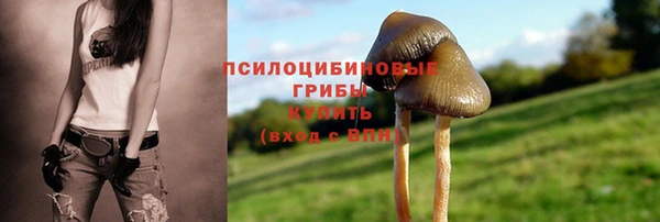 ALPHA-PVP Мегион