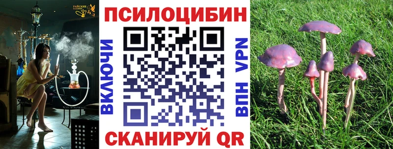Псилоцибиновые грибы Magic Shrooms  купить наркотик  Нальчик 